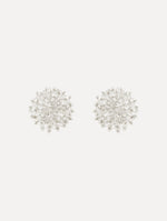 The Beaded Cluster Earrings in Crystal. Front View.